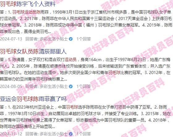 羽毛球比赛